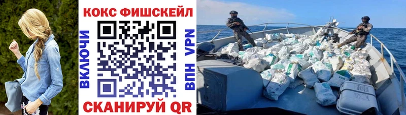 где купить наркоту  Иркутск  Cocaine FishScale 