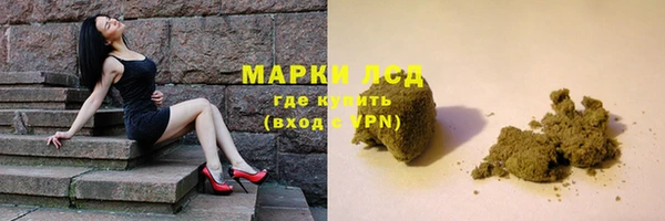 хмурый Алзамай
