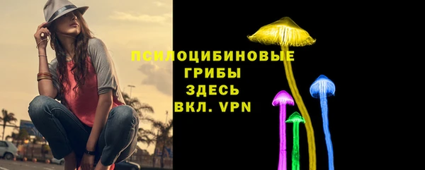 гидропоника Алексин