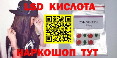 прущие грибы Красноармейск