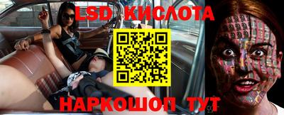 прущие грибы Красноармейск