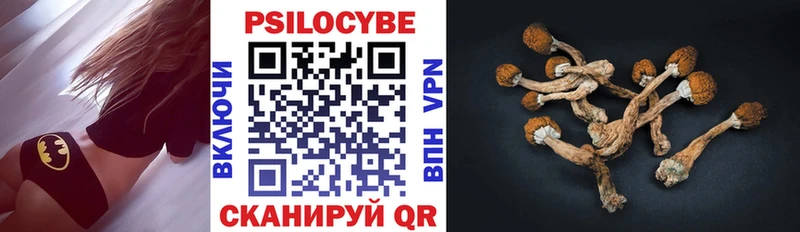 Галлюциногенные грибы Psilocybe  Иркутск 